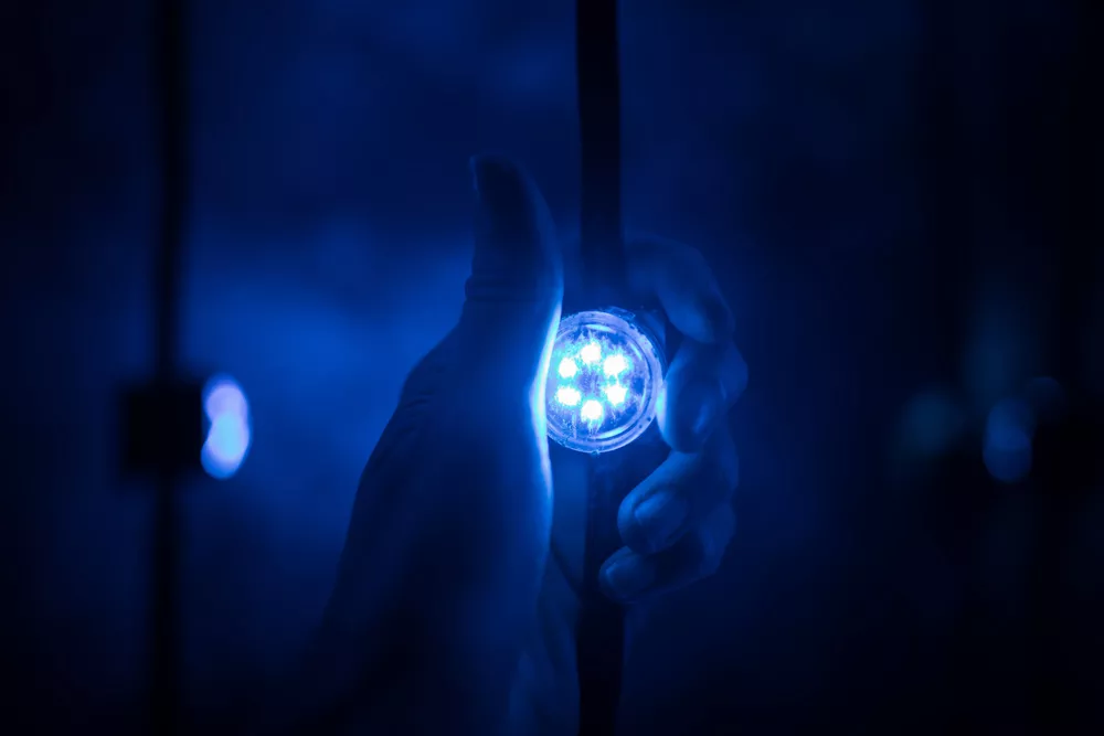 Filtros para la luz azul